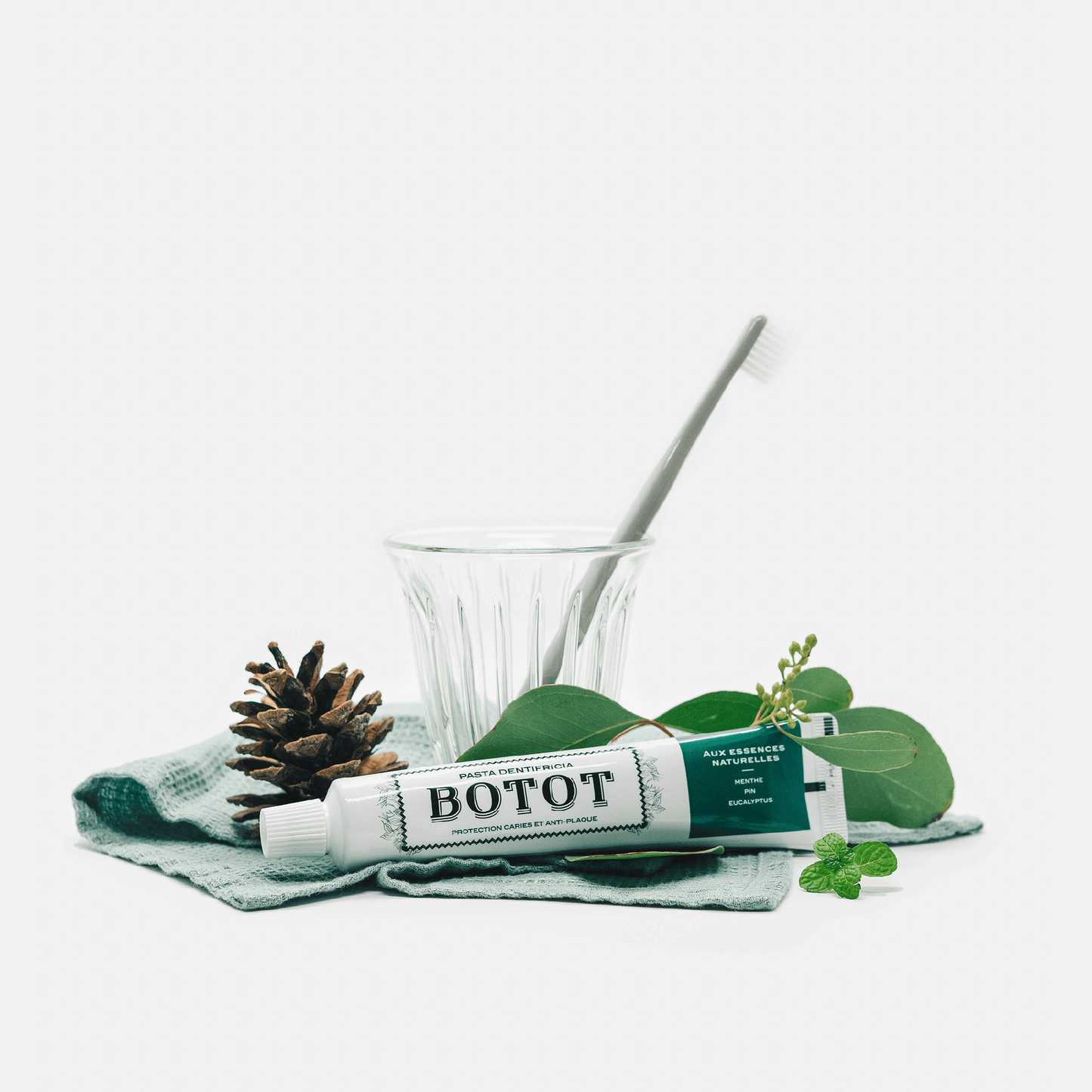 Botot 1755 Toothpaste - Mint, Pine & Eucalyptus Professional Oral Care 75ml